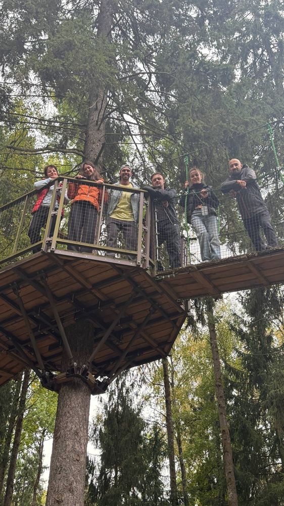 Команда в верёвочном парке